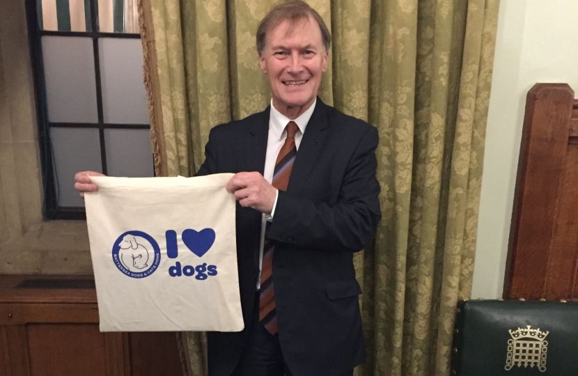 Battersea Dogs & Cats Home launches new campaign to tackle animal cruelty